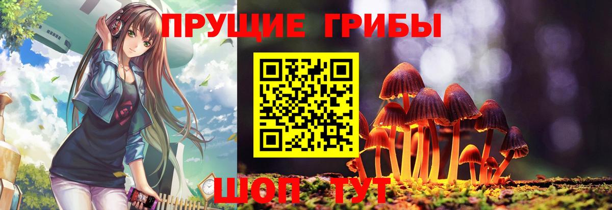 Мичуринск  Псилоцибиновые грибы MAGIC MUSHROOMS  Вход с VPN 