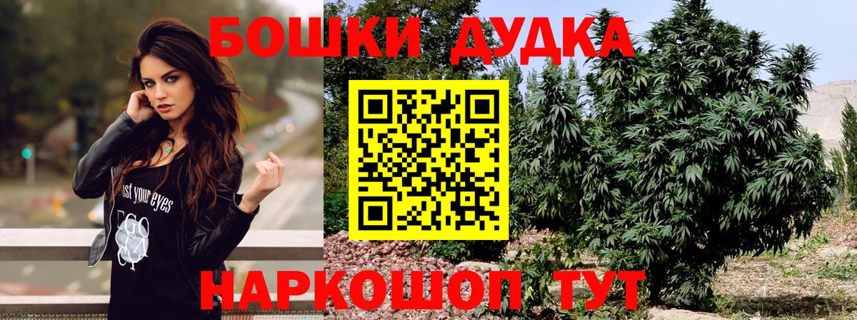 ГАШ Мичуринск